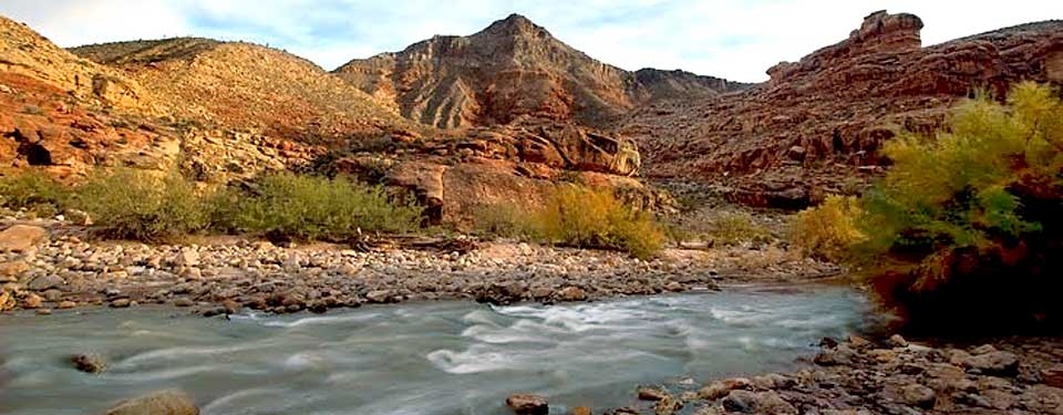 Virgin River Gorge